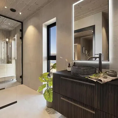 Modern In 木屋 Voss
